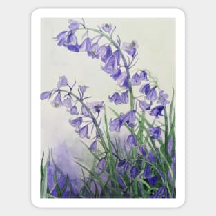 Bluebells watercolour painting Sticker